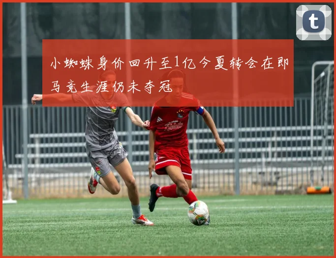 小蜘蛛身价回升至1亿今夏转会在即马竞生涯仍未夺冠